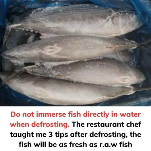 Do not immerse fish directly in water when defrosting