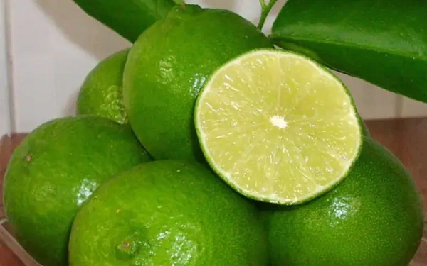 Keep lemons fresh all year with this hack!