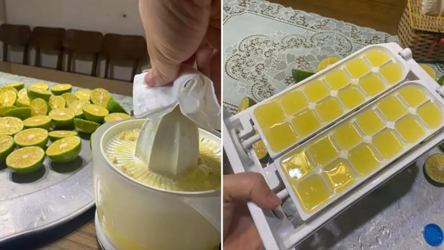 Squeezing lemon juice and putting it in the refrigerator will help you have lemon juice to use all year round.