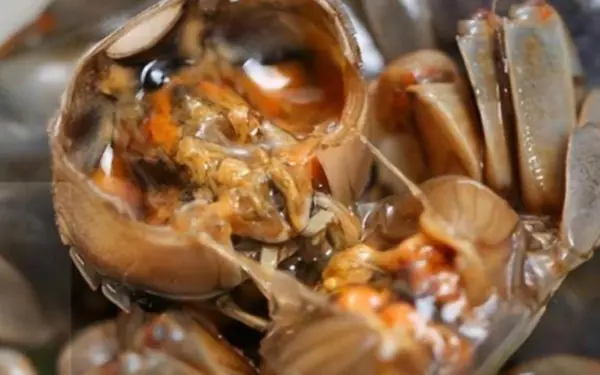 There are many parasites in the following four foods