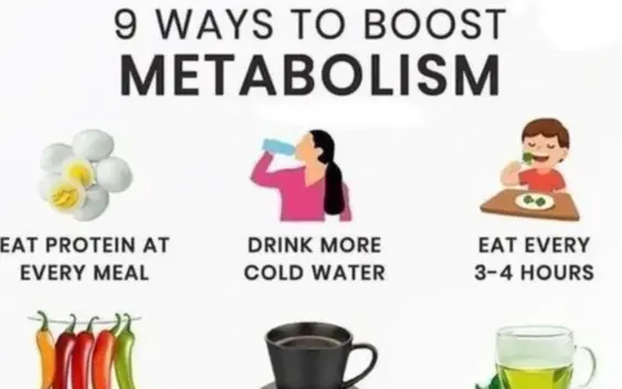 The 9 best ways to boost metabolism for daily life