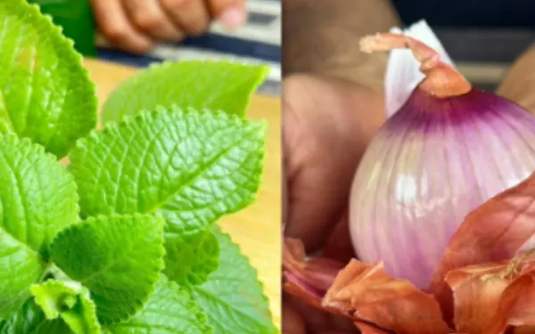 Eliminate Cancer, Diabetes, and High Blood Pressure with Dr. Frank Suárez’s Home Remedy
