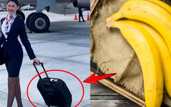 The reason flight attendants often bring a banana on the plane