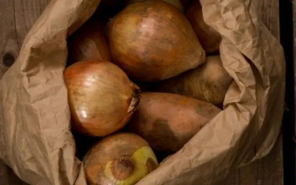 Onion preservation