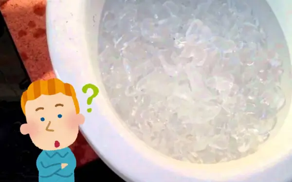 9 Simple and Quick Ways to Unclog a Toilet at Home Without Calling a Plumber