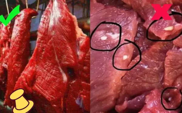 How to Differentiate Clean Beef from Beef Infected with Tapeworms