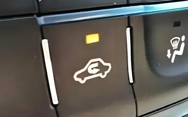 The use of this button