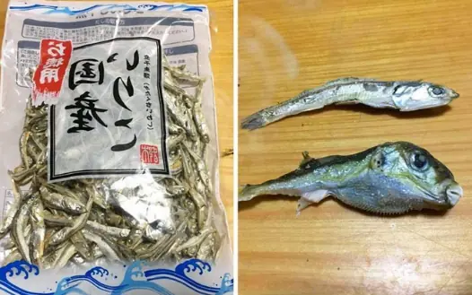 When you buy dried fish and get a free ticket to heaven