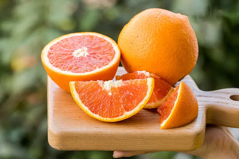 Cam cung cấp vitamin và năng lượng cho cơ thể
