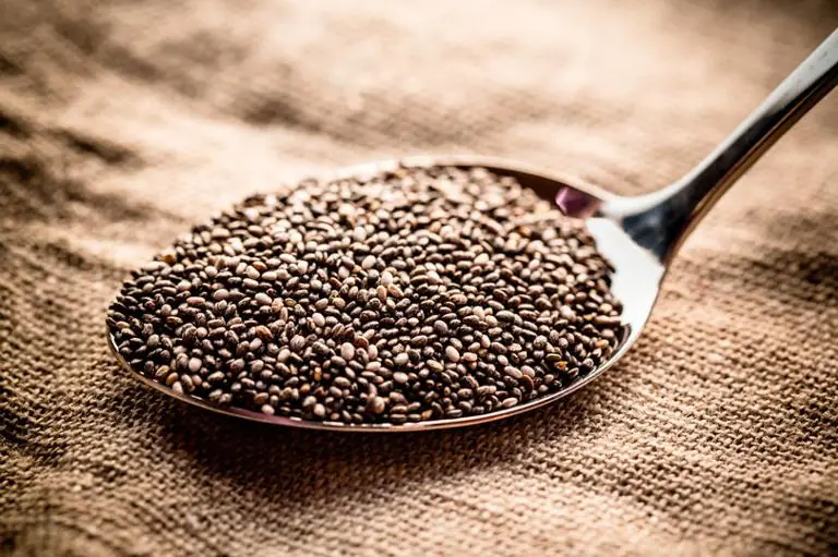 The 2 most nutritious seeds in the world, more nutritious than most vegetables, Vietnamese people eat a lot, especially at this time - Photo 1.