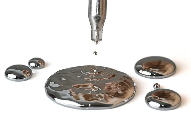 8 types of fish with the highest mercury content that you should know5