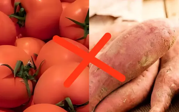 When eating tomatoes, never eat them with these 4 foods