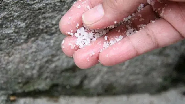 Turns out this is the reason why many people sprinkle salt around their house-1