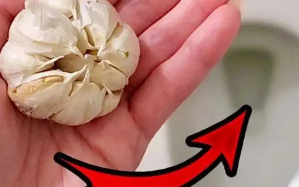 Drop a clove of garlic into the toilet