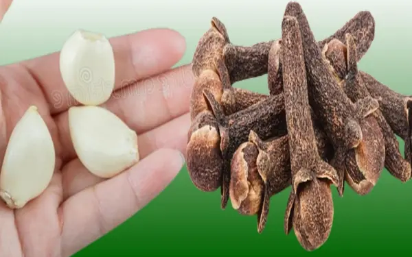 Cloves mix Garlic, Honey and you will thank me
