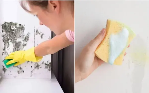 Tips for Removing Stains from White Walls