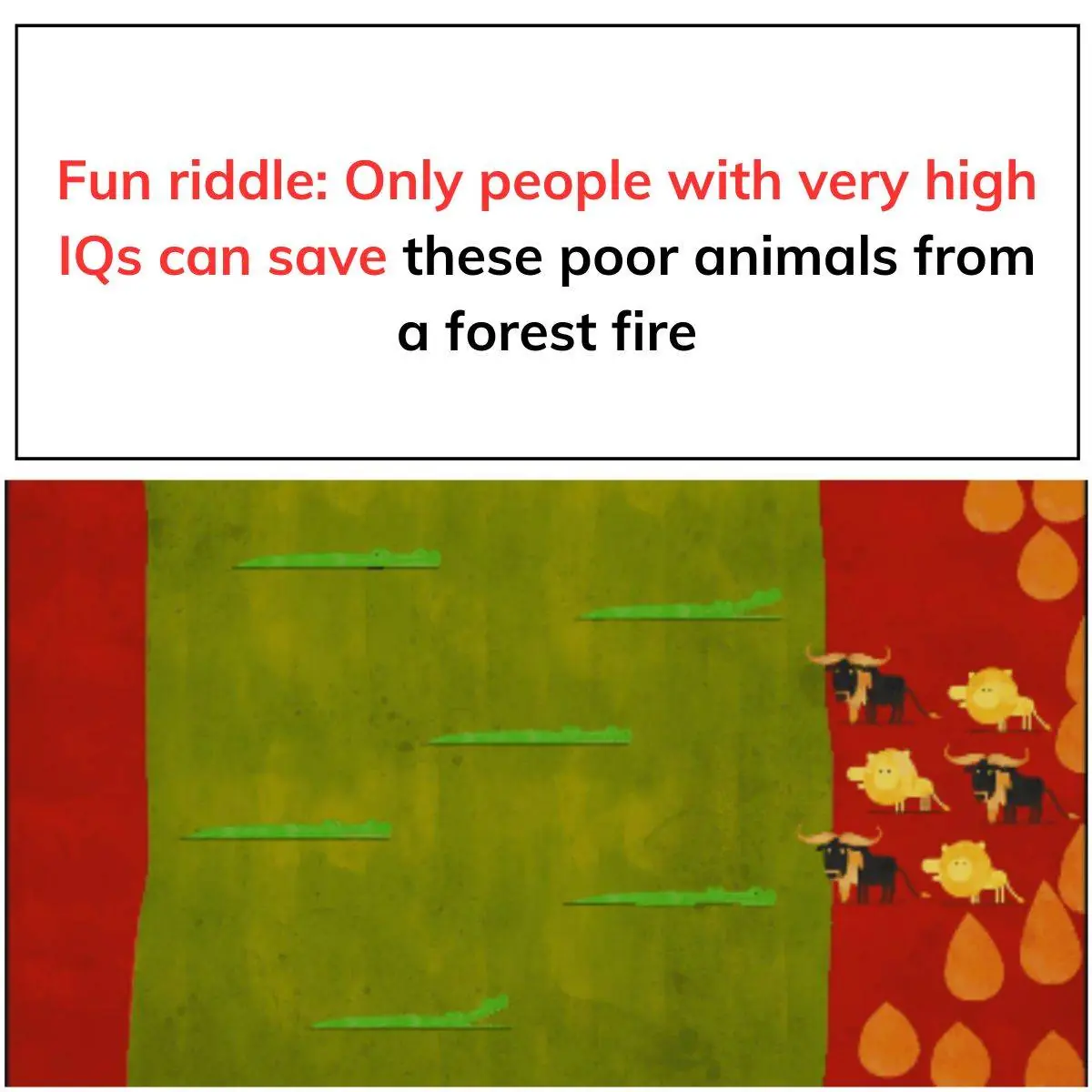 Bear Fire Riddle Fun Riddle: Only People with Very High IQs Can Save These Poor Animals ...