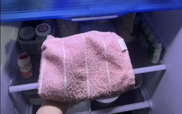 Smart people always put a towel in the refrigerator