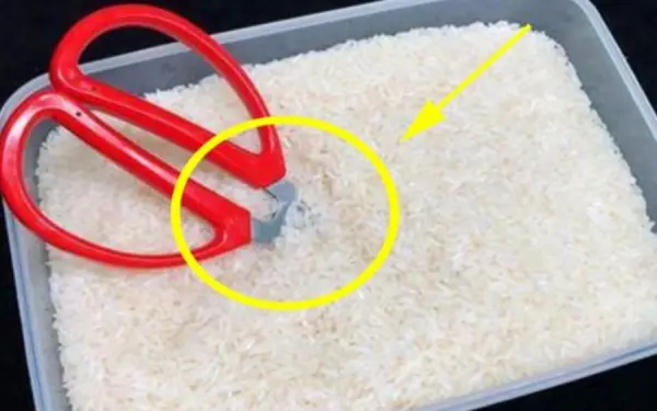 Everyone should save this tip