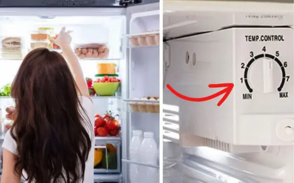 The refrigerator has an important little button