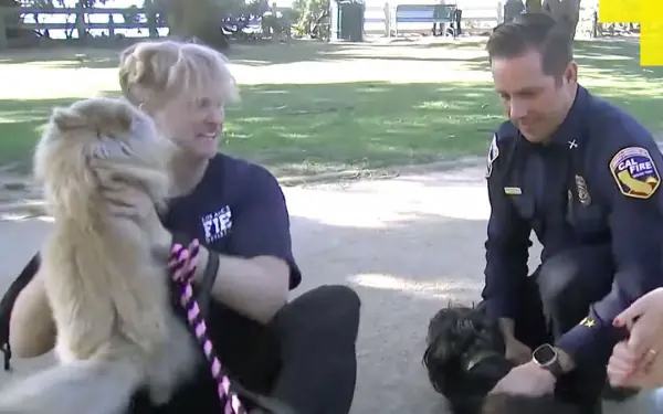Man Reunites with Firefighter Who Helped Him Rescue His 2 Dogs from L.A. Fires