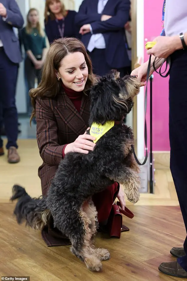 The Princess of Wales meets Scout, the Royal Marsden Hospital's therapy dog