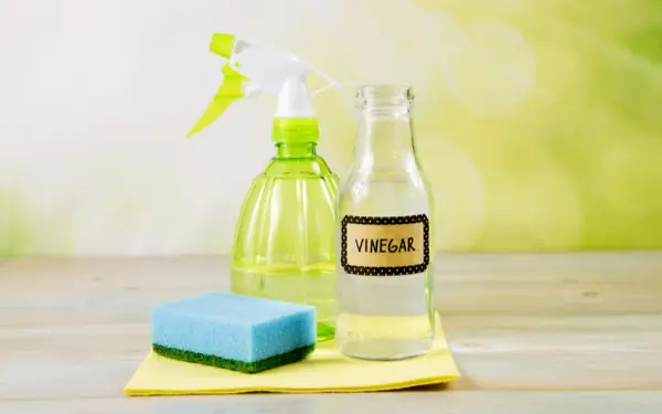 White Vinegar for Cleaning and Other Household Uses