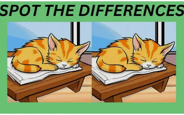 Spot the differences between the sleeping cat pictures in 19 seconds!