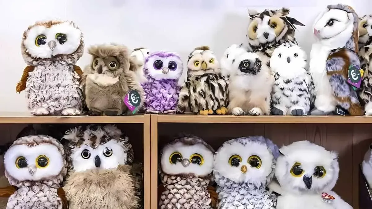 Find the real owl