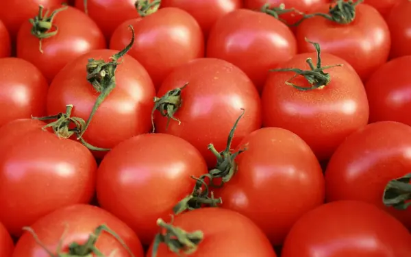 4 health benefits of drinking tomato juice