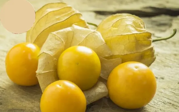 What do you call this fruit?