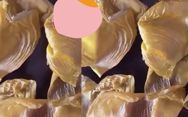 My husband just bought a bag of dried jackfruit and it looks very strange