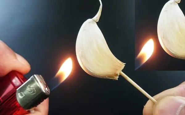 Burning Garlic at Home: What Happens After 15 Minutes