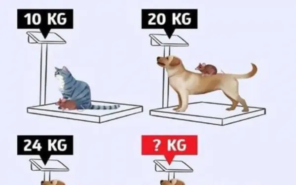 Here is the correct answer