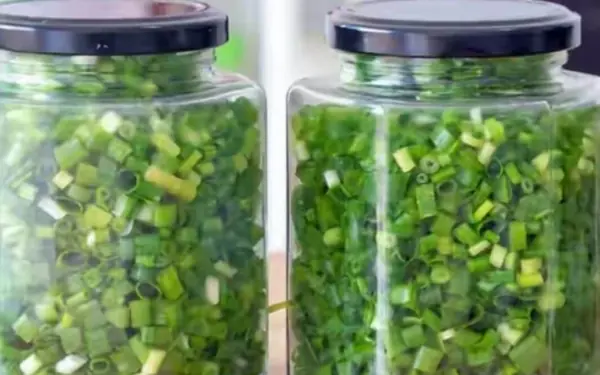 Please refer to the following ways to preserve green onions for a long time.