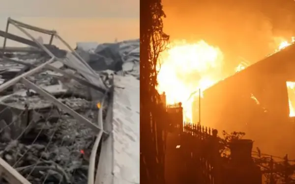 Hollywood actors share shock as homes burned to ashes in US wildfires
