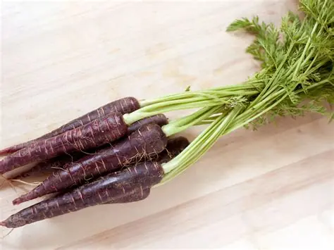 What Are the Health Benefits of Purple Carrots?