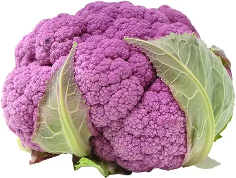 Fresh Baby Purple Cauliflower - Shop Broccoli, Cauliflower & Cabbage at ...