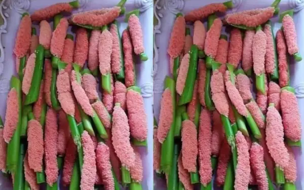Guess what fruit this is?