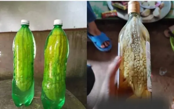 How can they fit it in the bottle?