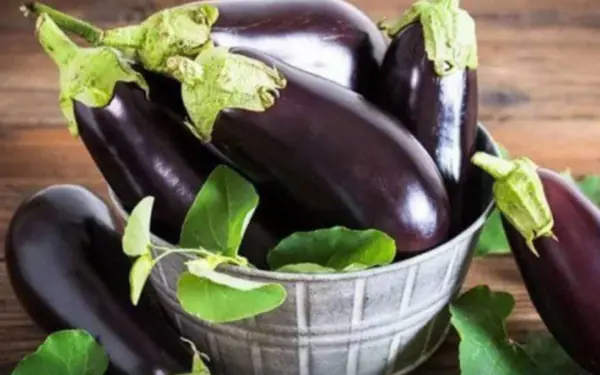 5 types of vegetables not grown with chemicals