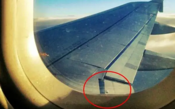 You've flown often, but you might not know this!