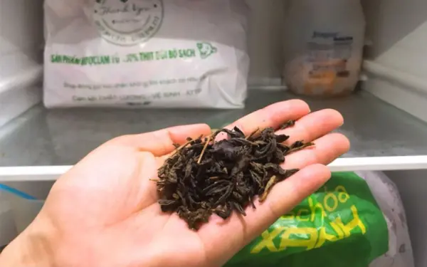 How to Deodorize Your Fridge with Tea and Reuse It