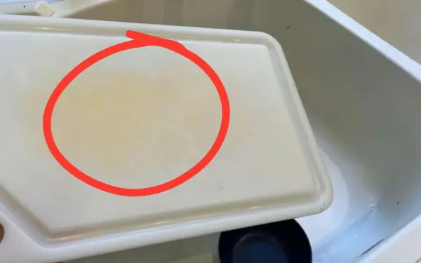 Expert Says It's Time to Toss That Cutting Board!