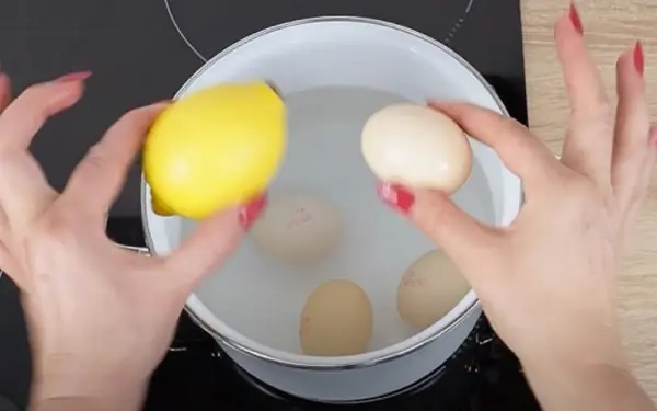 Chefs do not tell