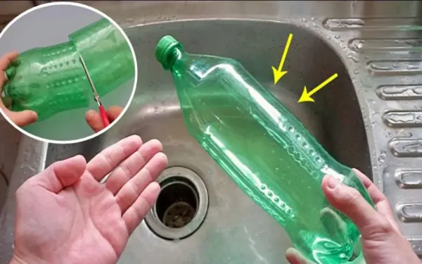Cut the plastic bottle in half and place it in the sink