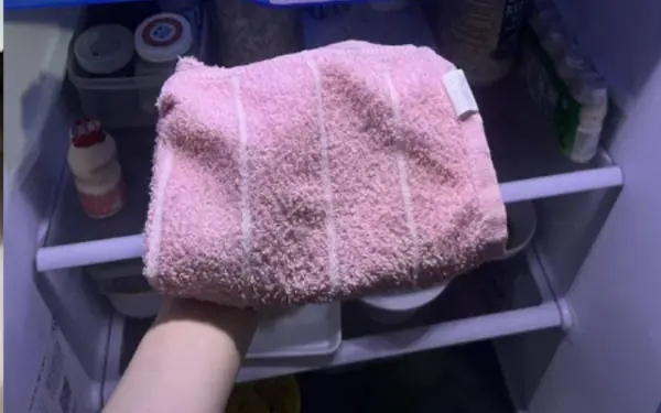 Smart people always put a towel in the refrigerator