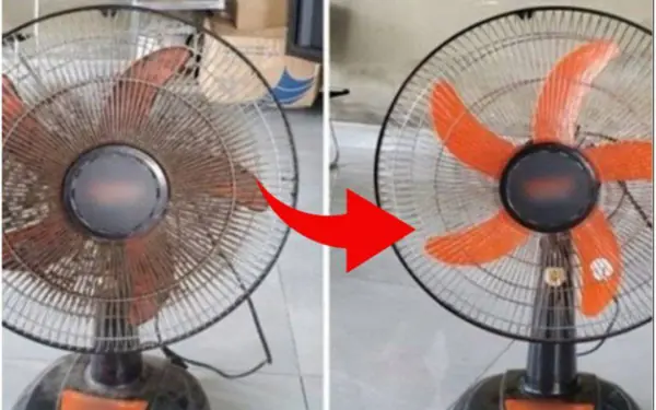 How to clean an electric fan without removing the frame