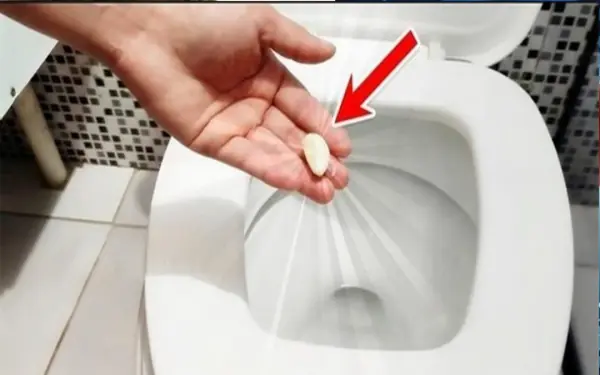 Put a clove of garlic in the toilet