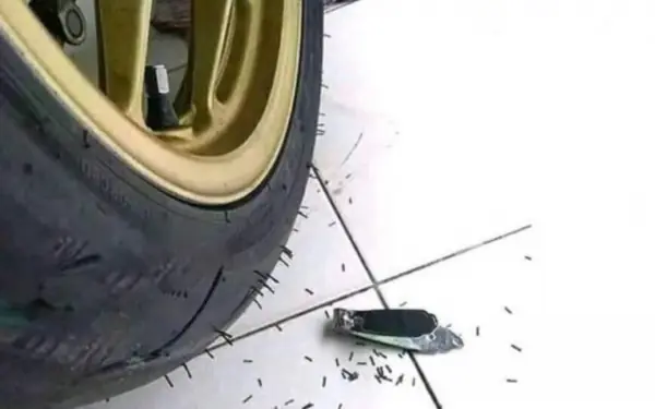 Many people believe that these rubber spikes